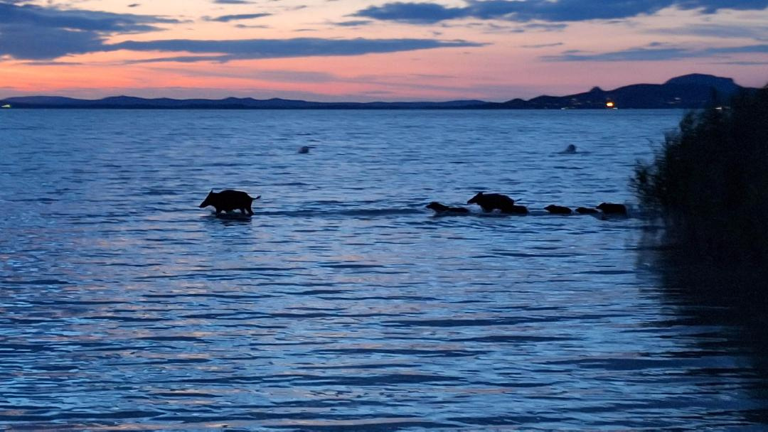 2ff48daf1367f7a373a88a4902de8206