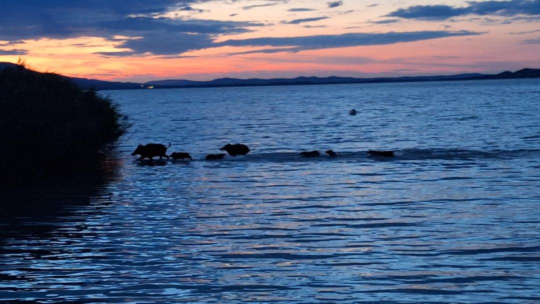 70dafe391af9629a69bc6debec741707