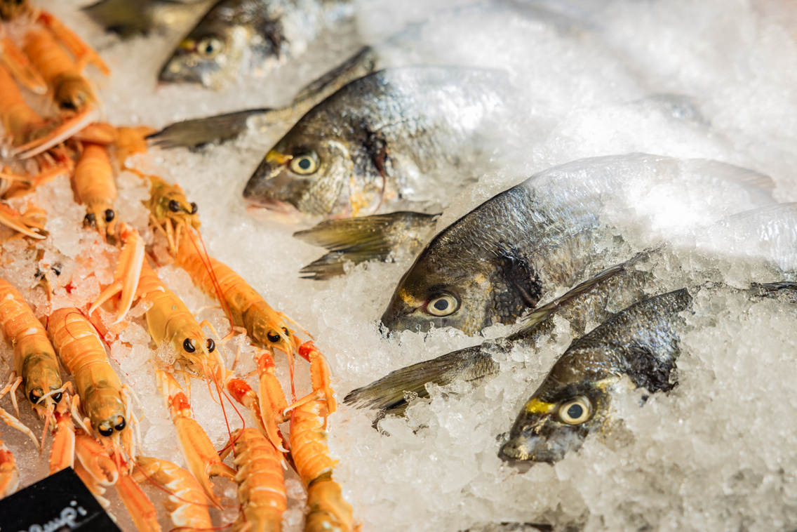 Ocean Food 250722 Szabó Gábor 002