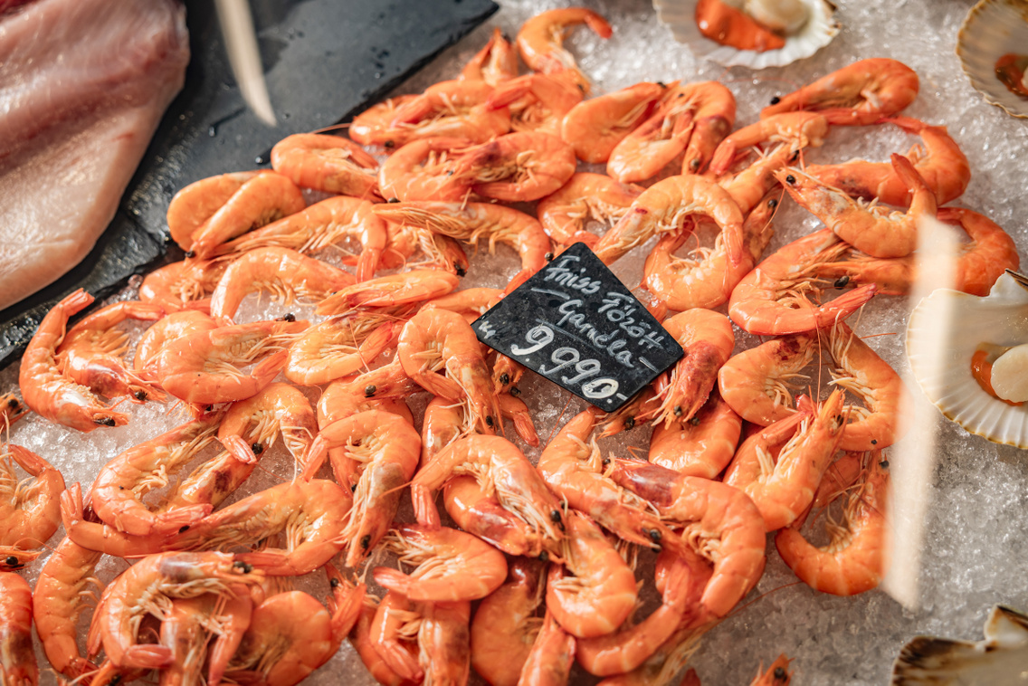 Ocean Food 250722 Szabó Gábor 005