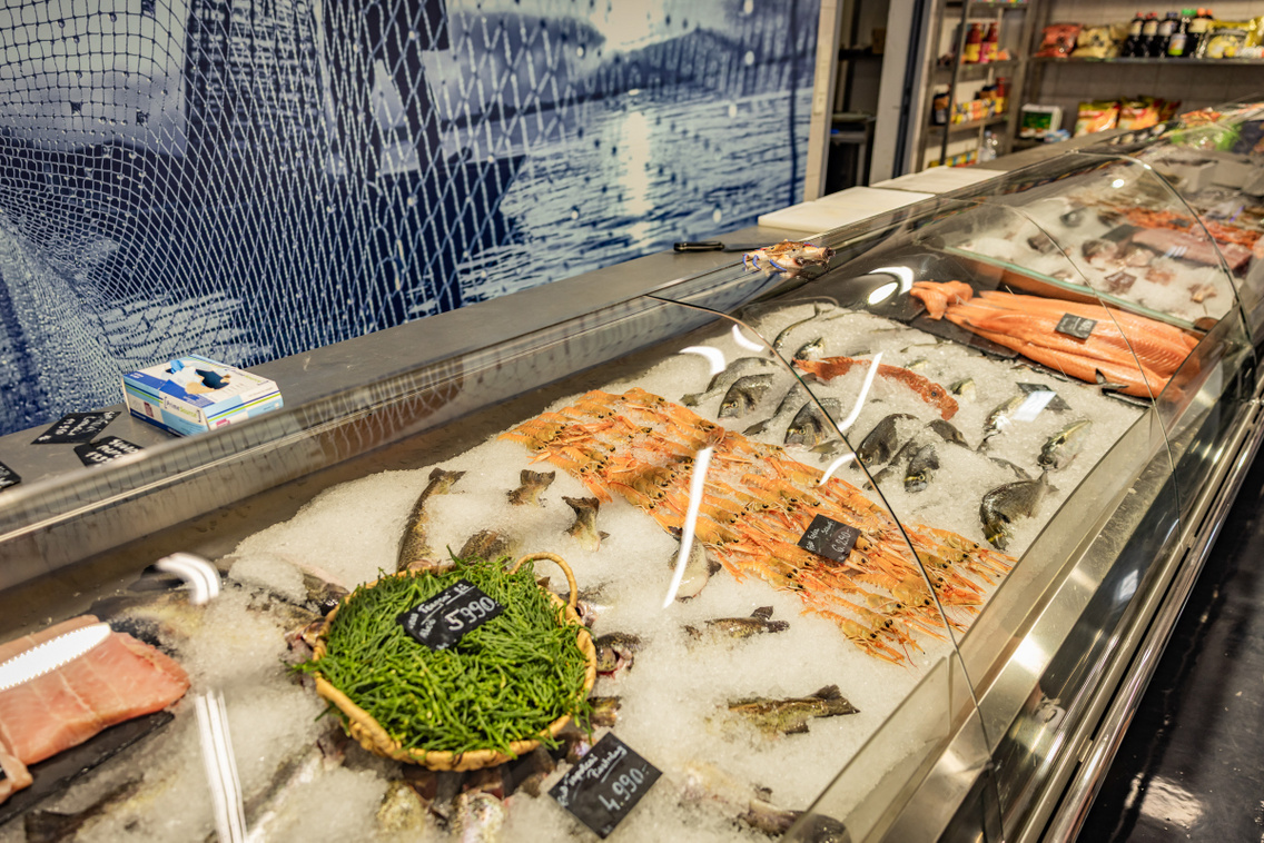 Ocean Food 250722 Szabó Gábor 017