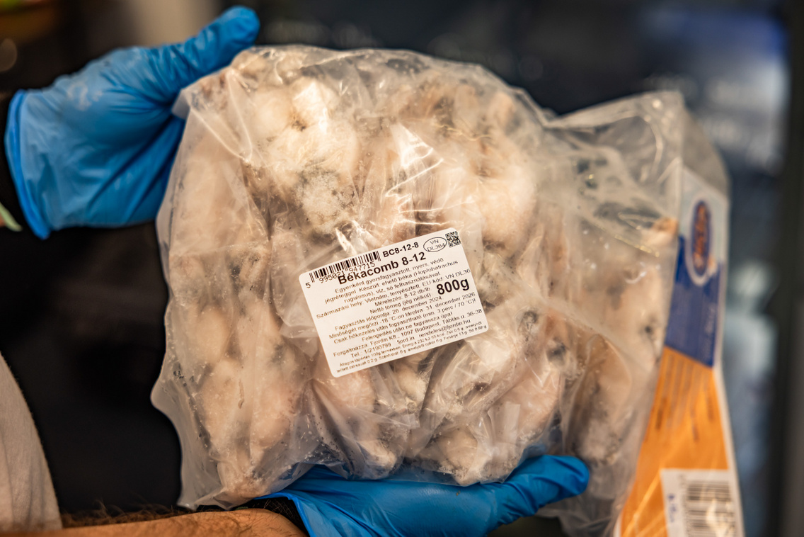 Ocean Food 250722 Szabó Gábor 015