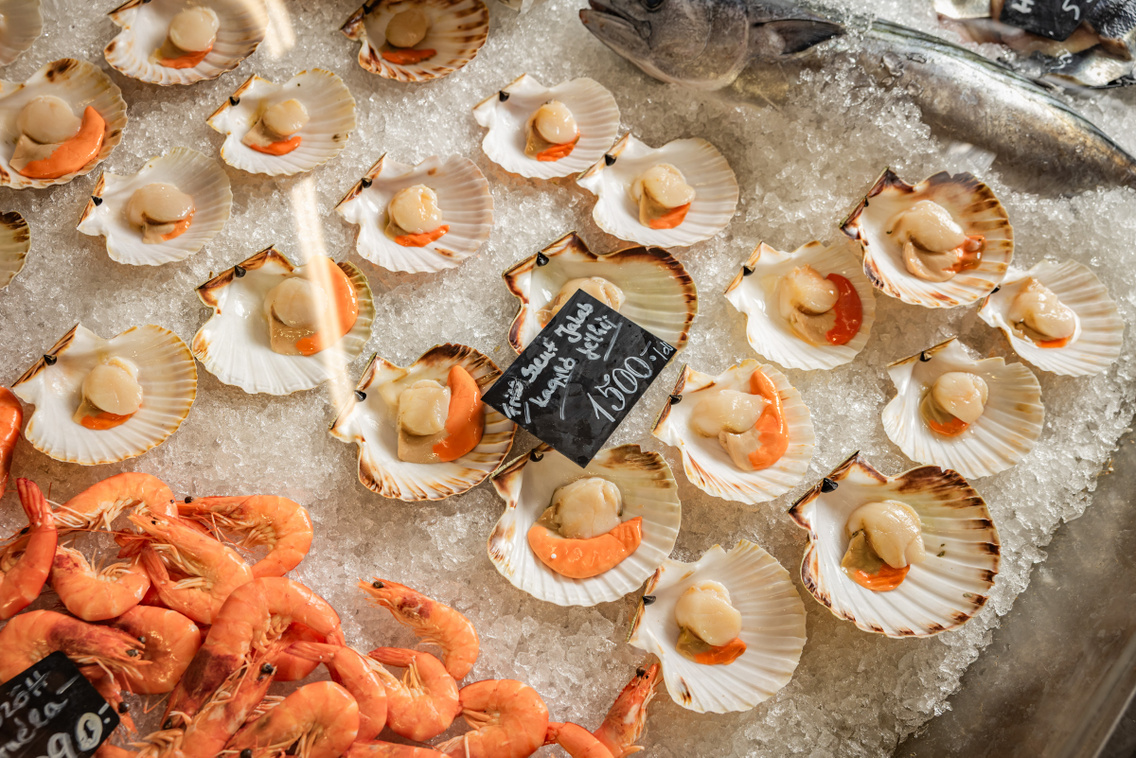 Ocean Food 250722 Szabó Gábor 011