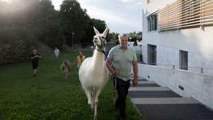Lame so prekinile zaprto sejo madžarske občine Törökbálint