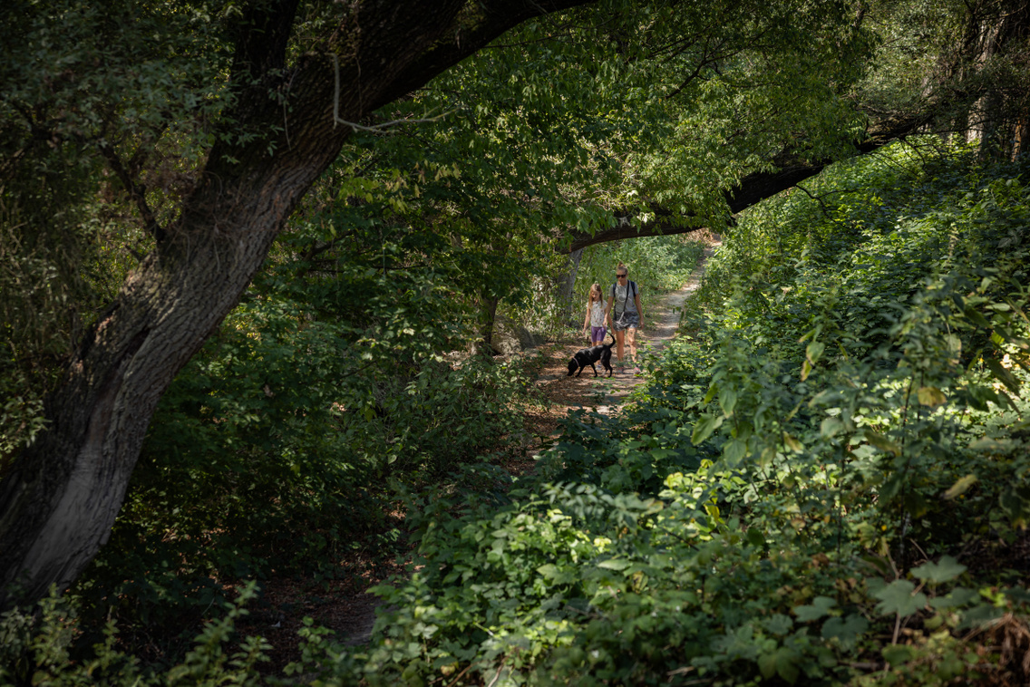 Nagytétény tanösvény 250724 Szabó Gábor 002