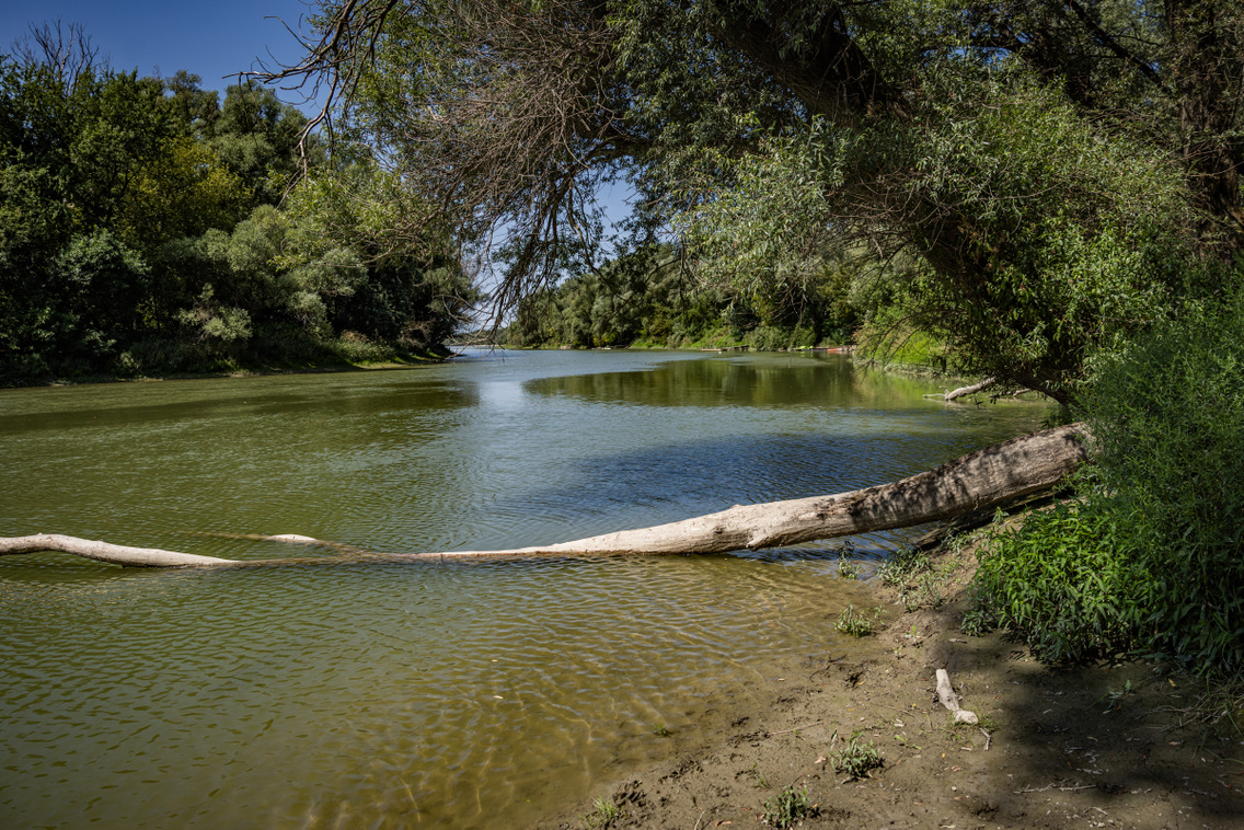 Nagytétény tanösvény 250724 Szabó Gábor 005