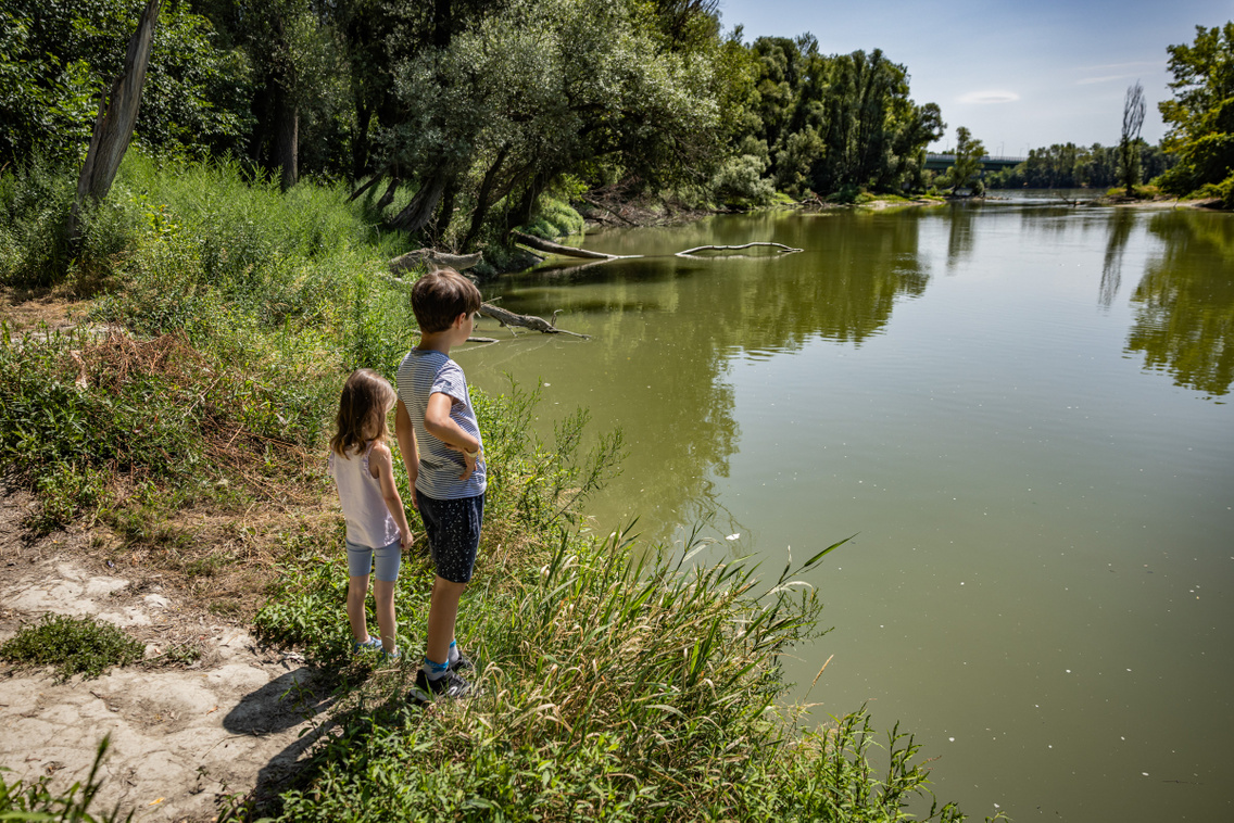 Nagytétény tanösvény 250724 Szabó Gábor 008