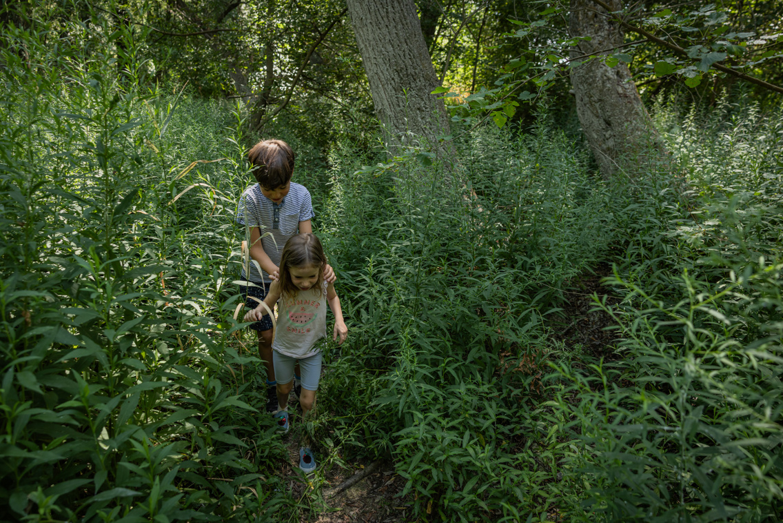 Nagytétény tanösvény 250724 Szabó Gábor 009