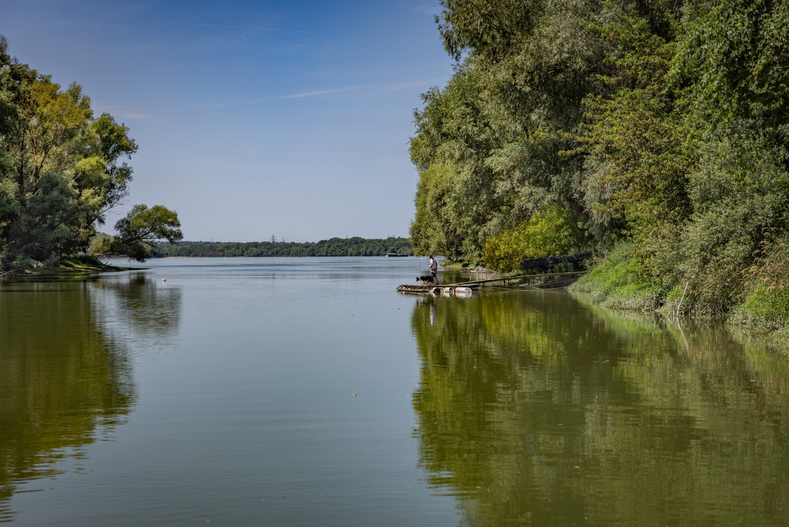 Nagytétény tanösvény 250724 Szabó Gábor 013