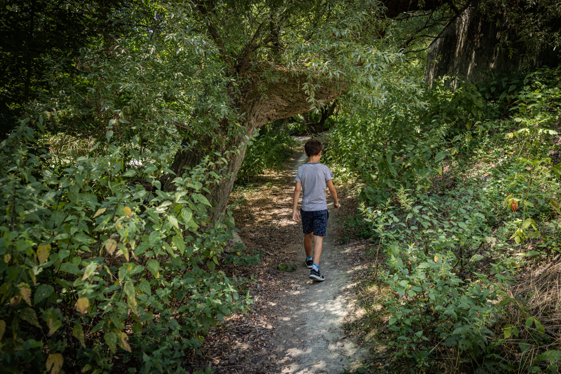 Nagytétény tanösvény 250724 Szabó Gábor 015