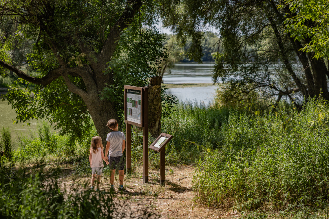 Nagytétény tanösvény 250724 Szabó Gábor 023