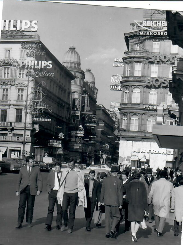 ilona stüberl (5).png