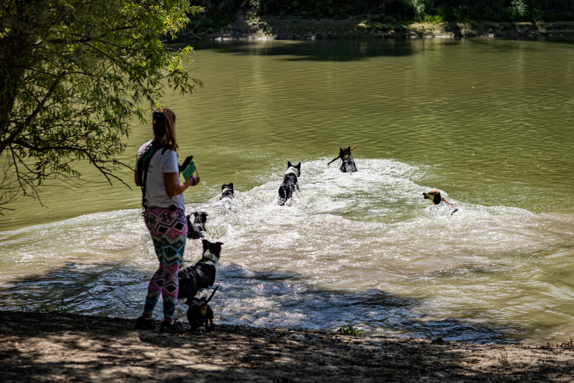 Nagytétény tanösvény 250724 Szabó Gábor 025