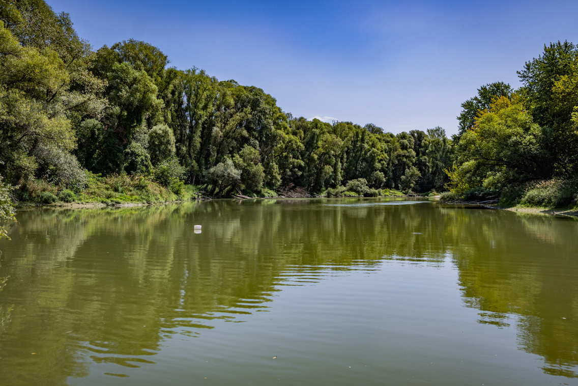 Nagytétény tanösvény 250724 Szabó Gábor 014