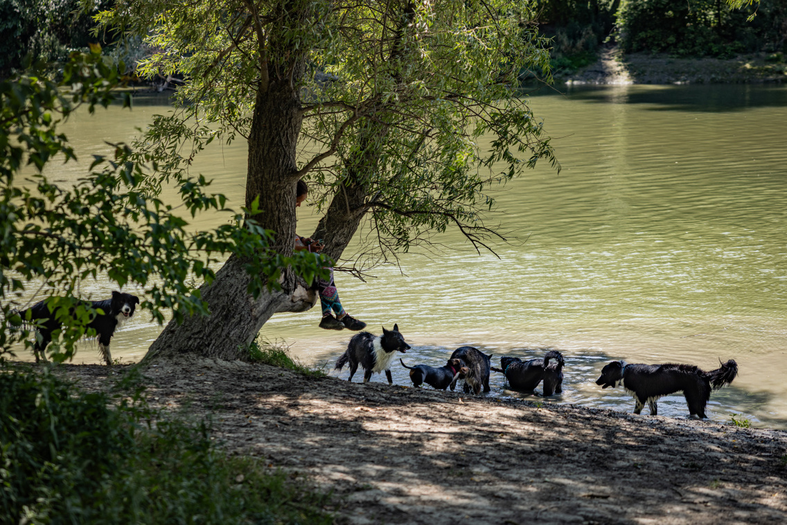 Nagytétény tanösvény 250724 Szabó Gábor 028