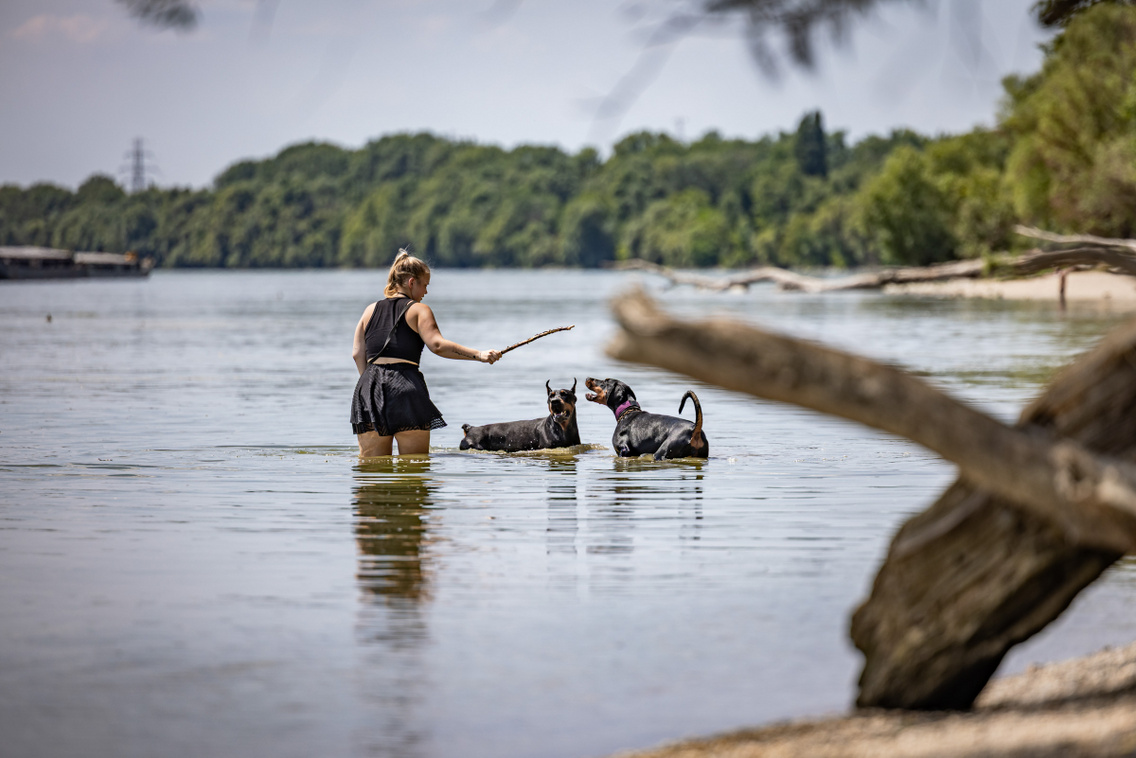 Nagytétény tanösvény 250724 Szabó Gábor 043