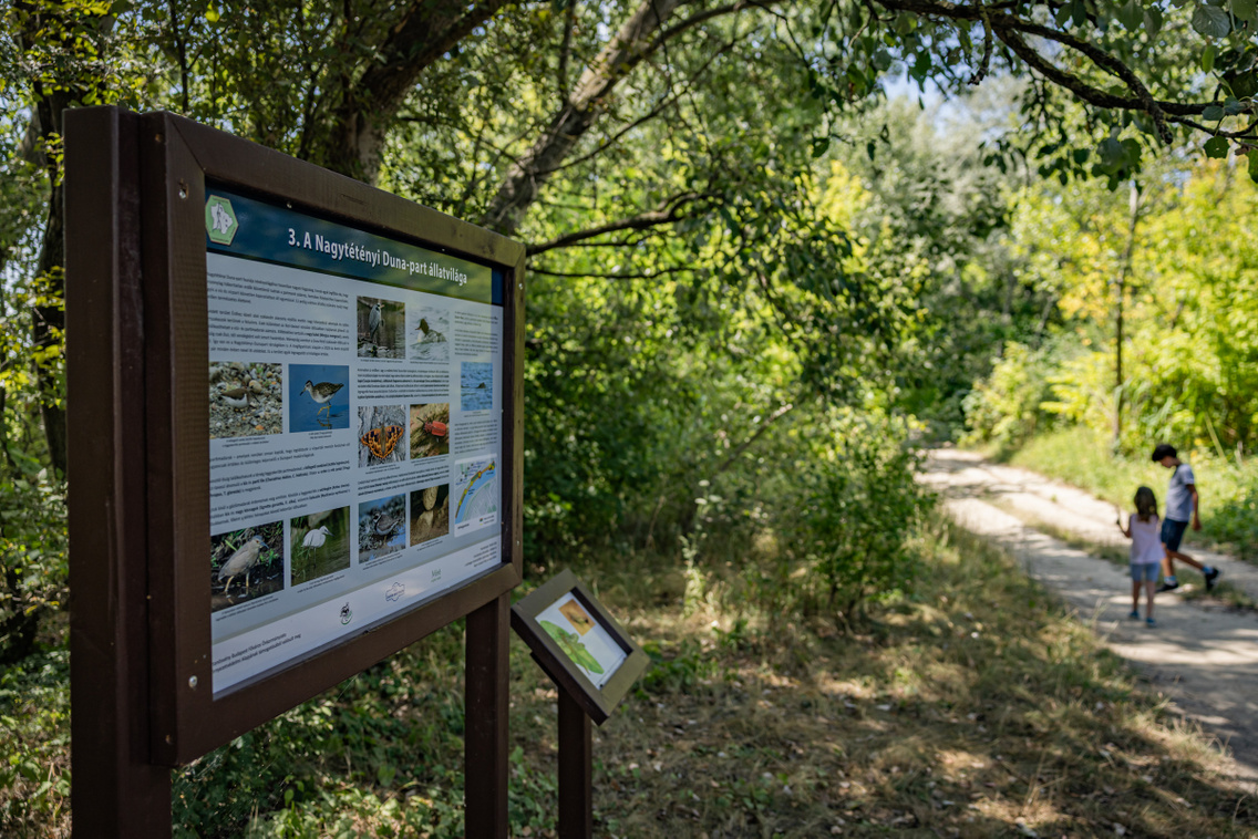 Nagytétény tanösvény 250724 Szabó Gábor 035