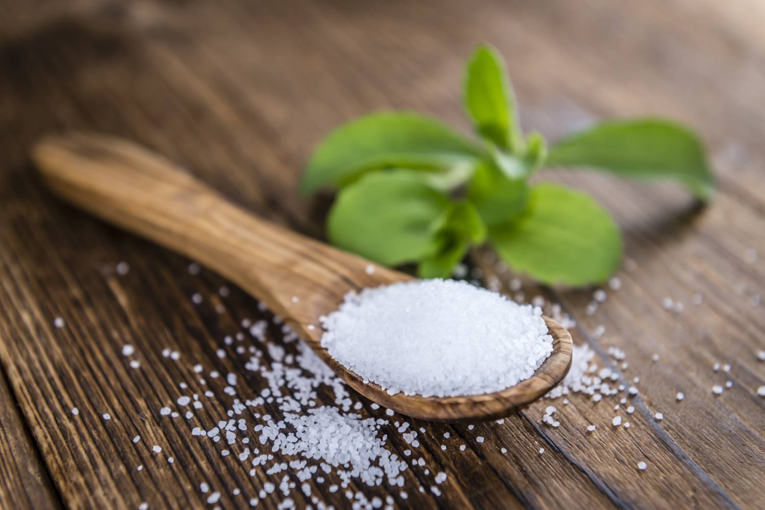 stevia1