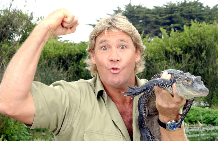 Steve IrwinSteve Irwin, „A krokodilvadász” néven világhírű természetfilmes műsorvezető, Ausztrália vadonjának szakértőjeként vált ismertté, és bátran bánt bármilyen állattal