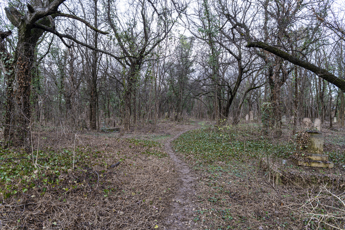 cinkotai-regi-temeto-070-medgyesi-milan-20230117