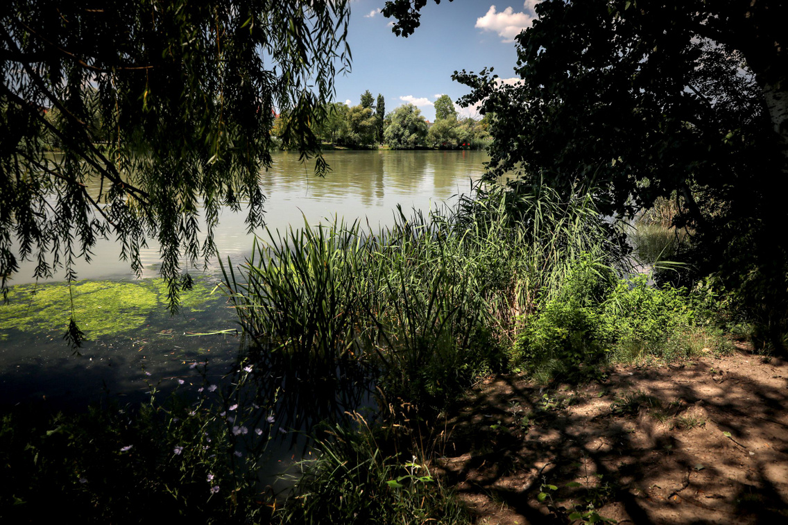 molnar-sziget-soroksar-072120-szabo-gabor-036