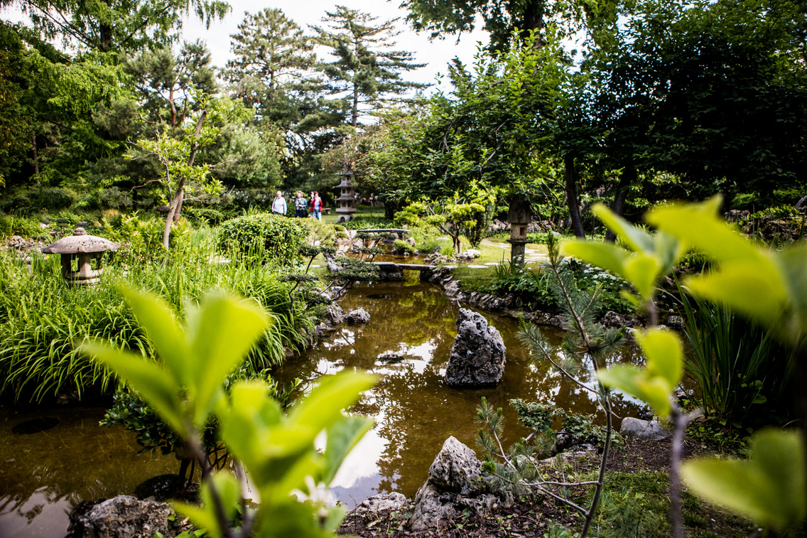 zuglo-japankert-200602-majorkata-45