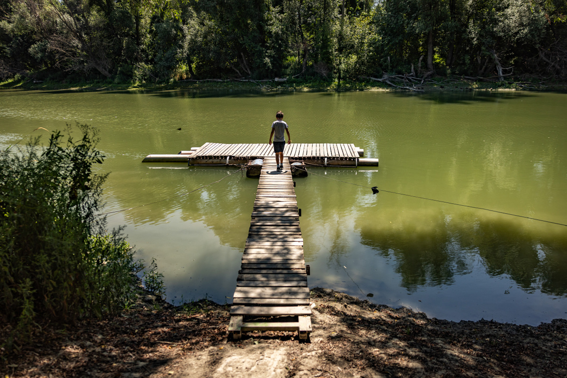 Nagytétény tanösvény 250724 Szabó Gábor 018