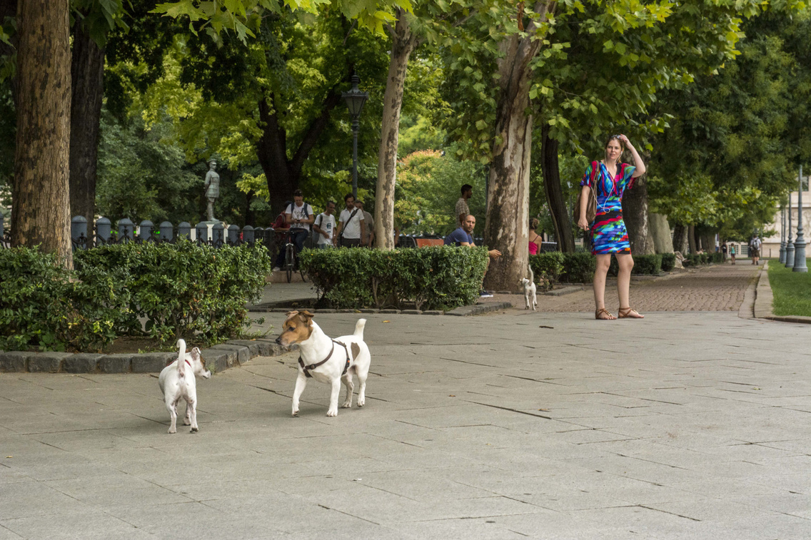 szabadsag-ter korosi-tamas 20140813