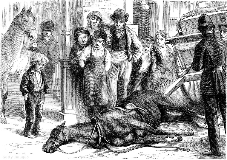 Dögök, trágyaszag és mocsok az utcákon&nbsp;Száz évvel ezelőtt a városok utcáin nem csak emberek jártak – hanem kecskék, disznók, tehenek és lovak is