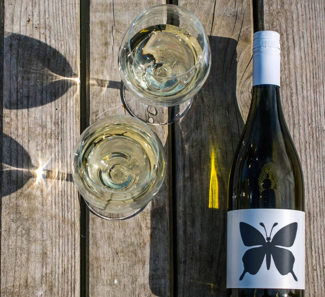 Wines of Hungary 01