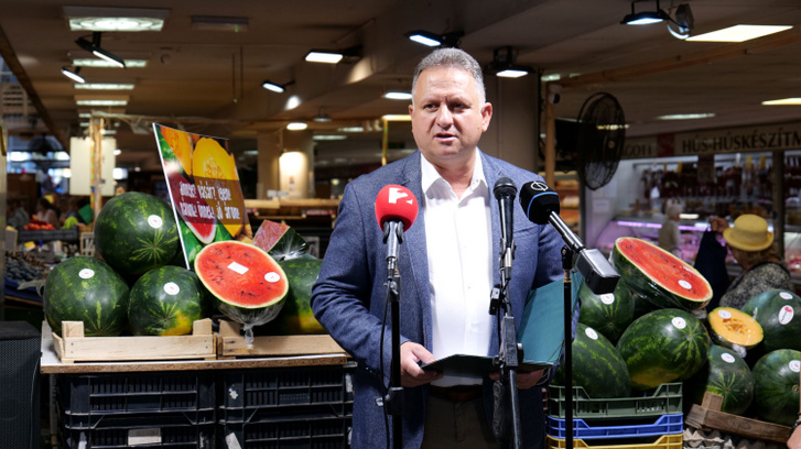 Hubai Imre, az Agárminisztérium mezőgazdaságért felelős államtitkára