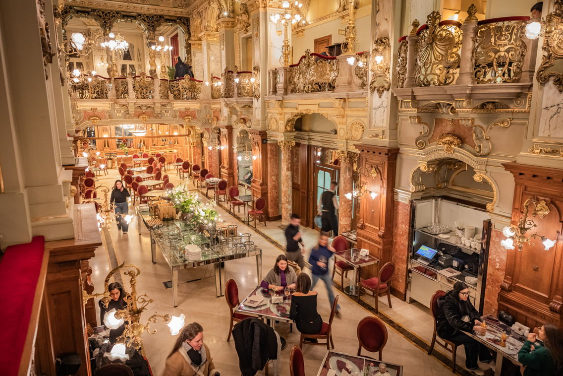 New York kávéház 20240117 Szabó Gábor 025