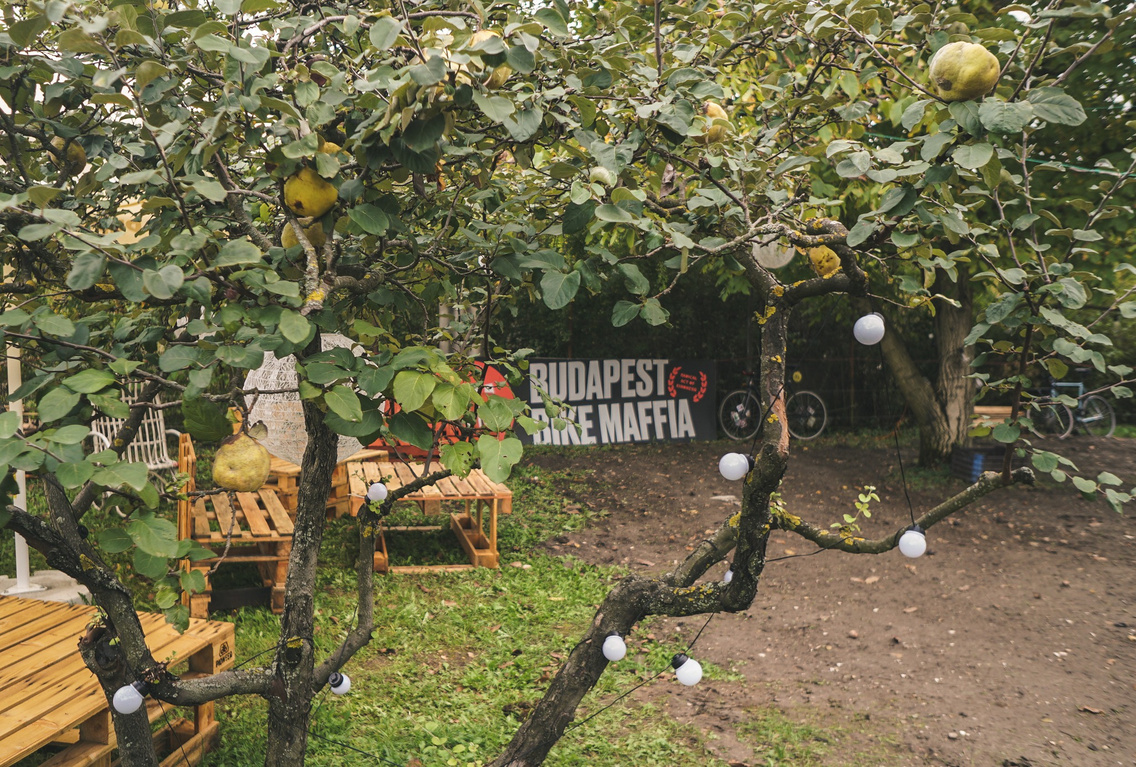 budapest bike maffia farm