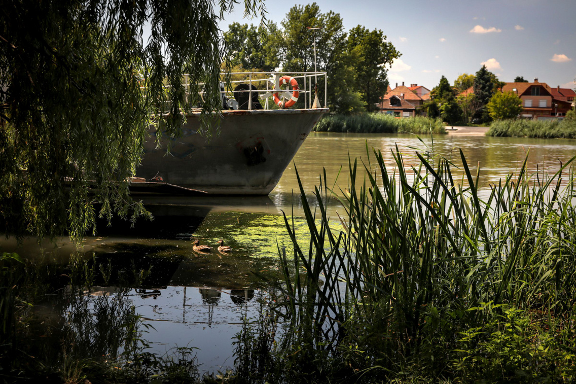 molnar-sziget-soroksar-072120-szabo-gabor-037
