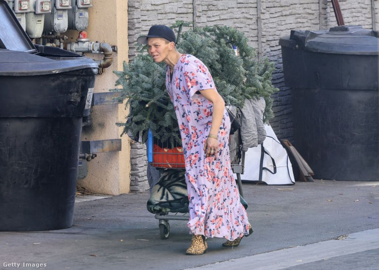 (Fotó: Mega / Getty Images Hungary)
