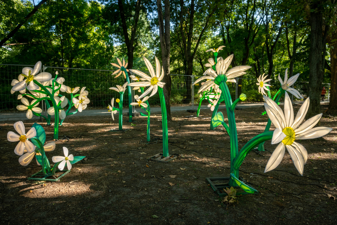 Ezek jelentős része sötétben lesz igazán feltűnő