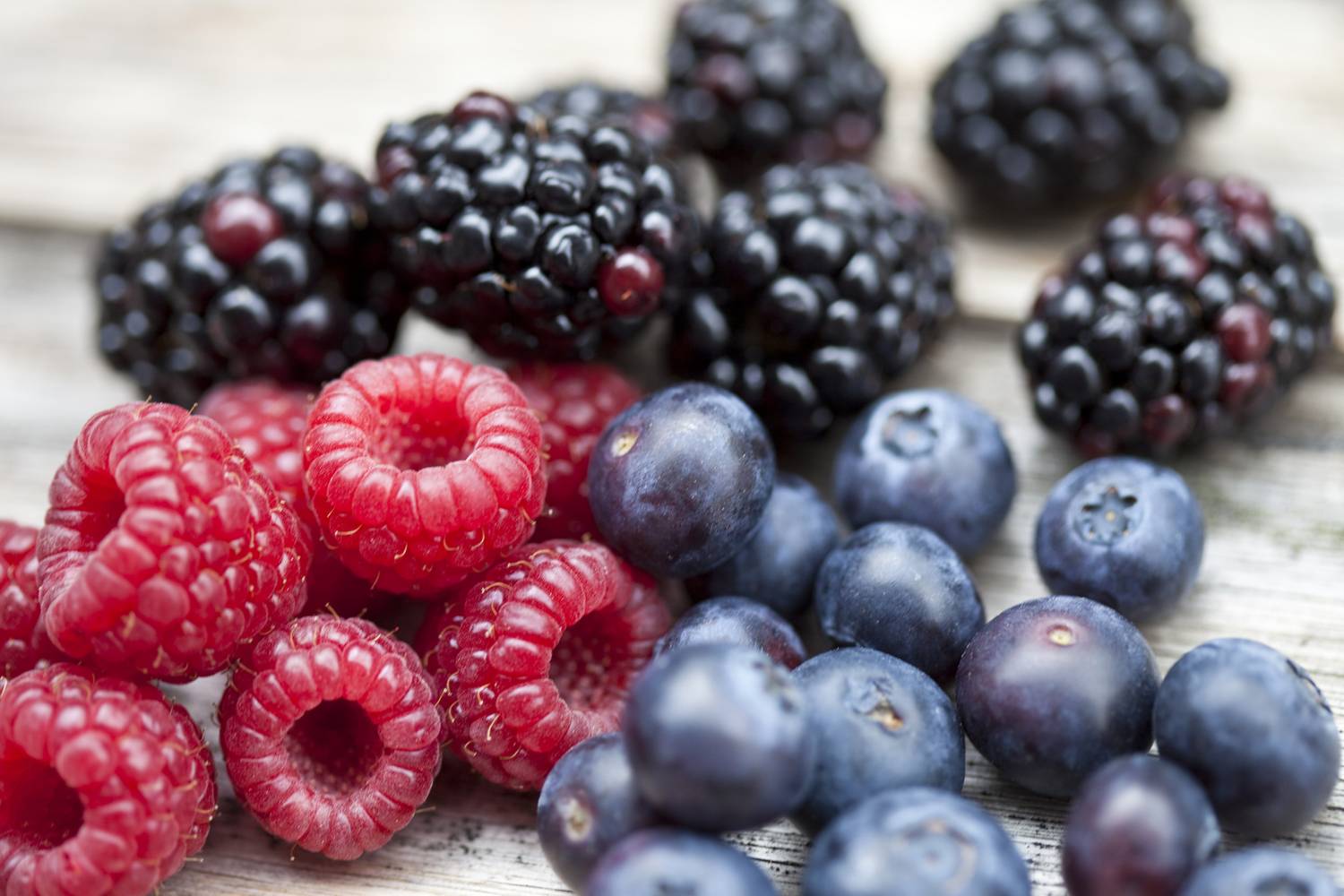 A bogyós gyümölcsök erős antioxidáns hatásuk miatt védik a sejtek és a vesék egészségét.