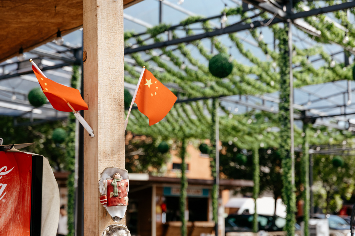 BianGarden ForgacsZsuzsi 20250731-3