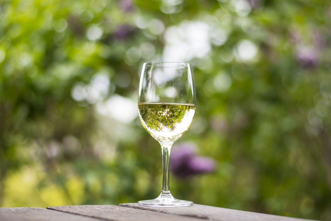 szent-antal-pince korosi-tamas 20160428