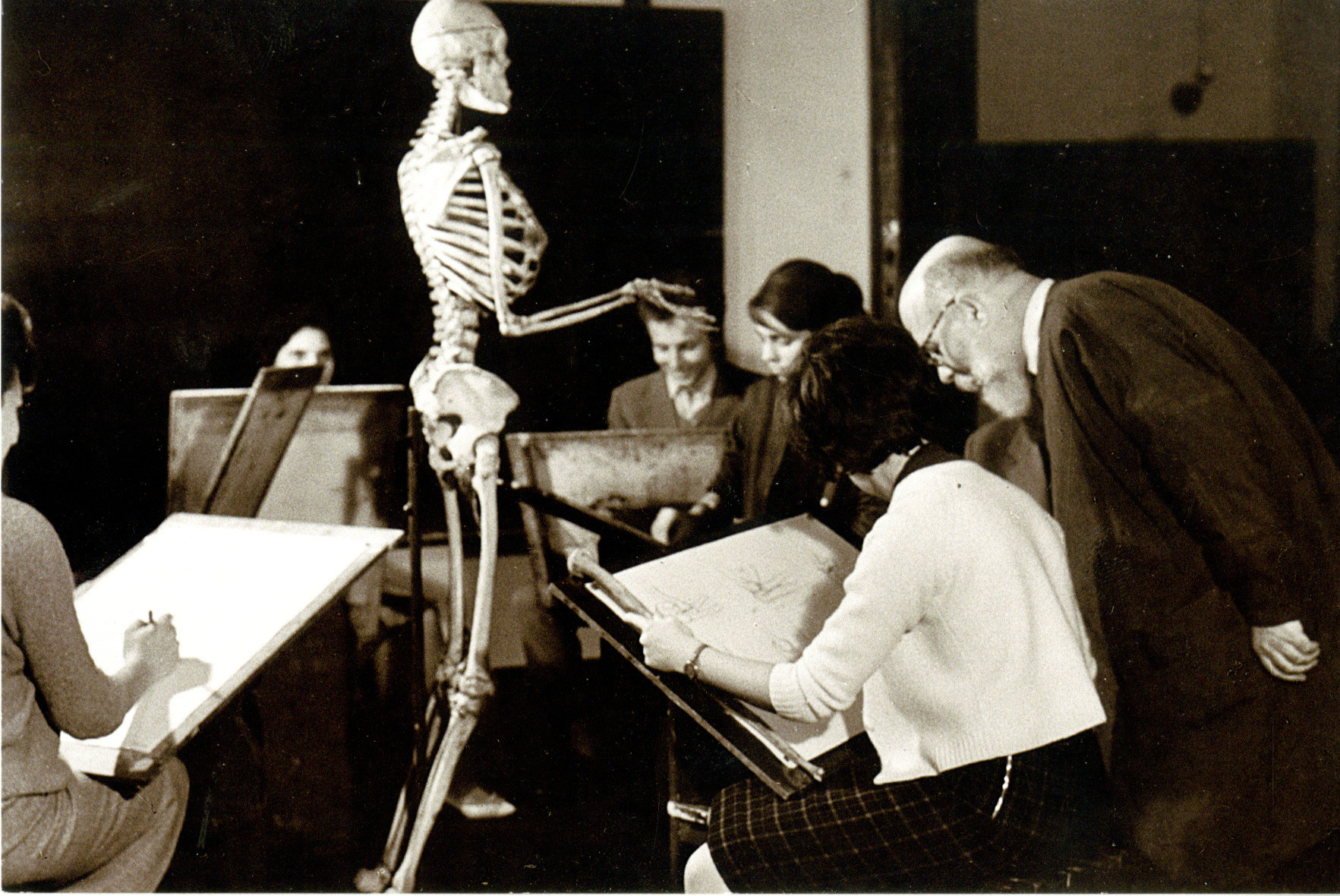 Anatómiaoktatás közben, 1960-as évek első fele