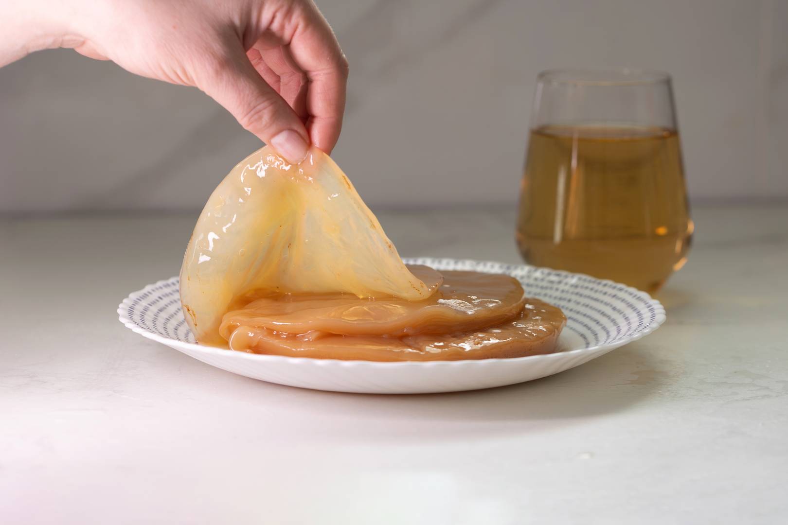 SCOBY, a kombucha lelke.
