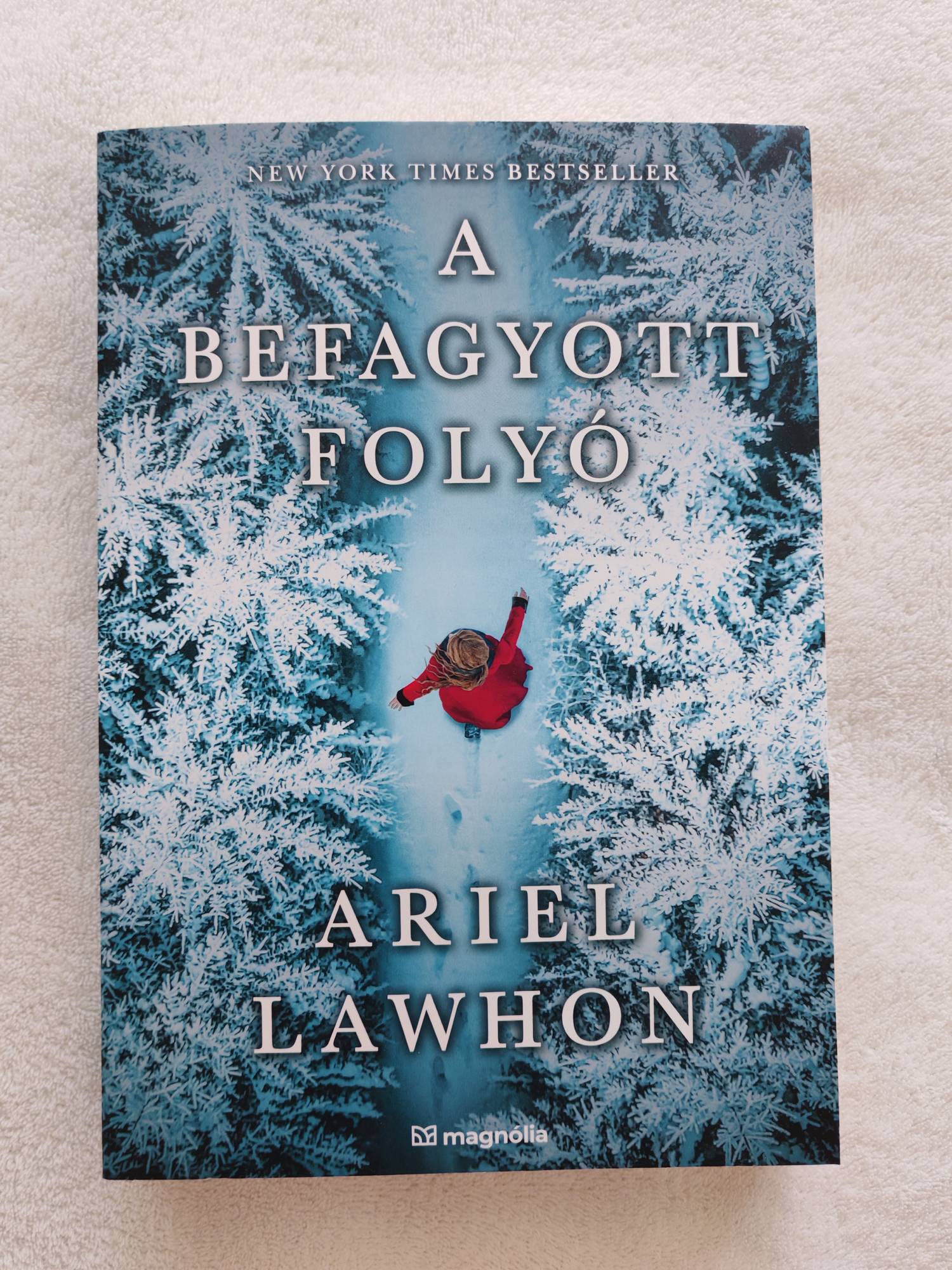 a befagyott folyo
