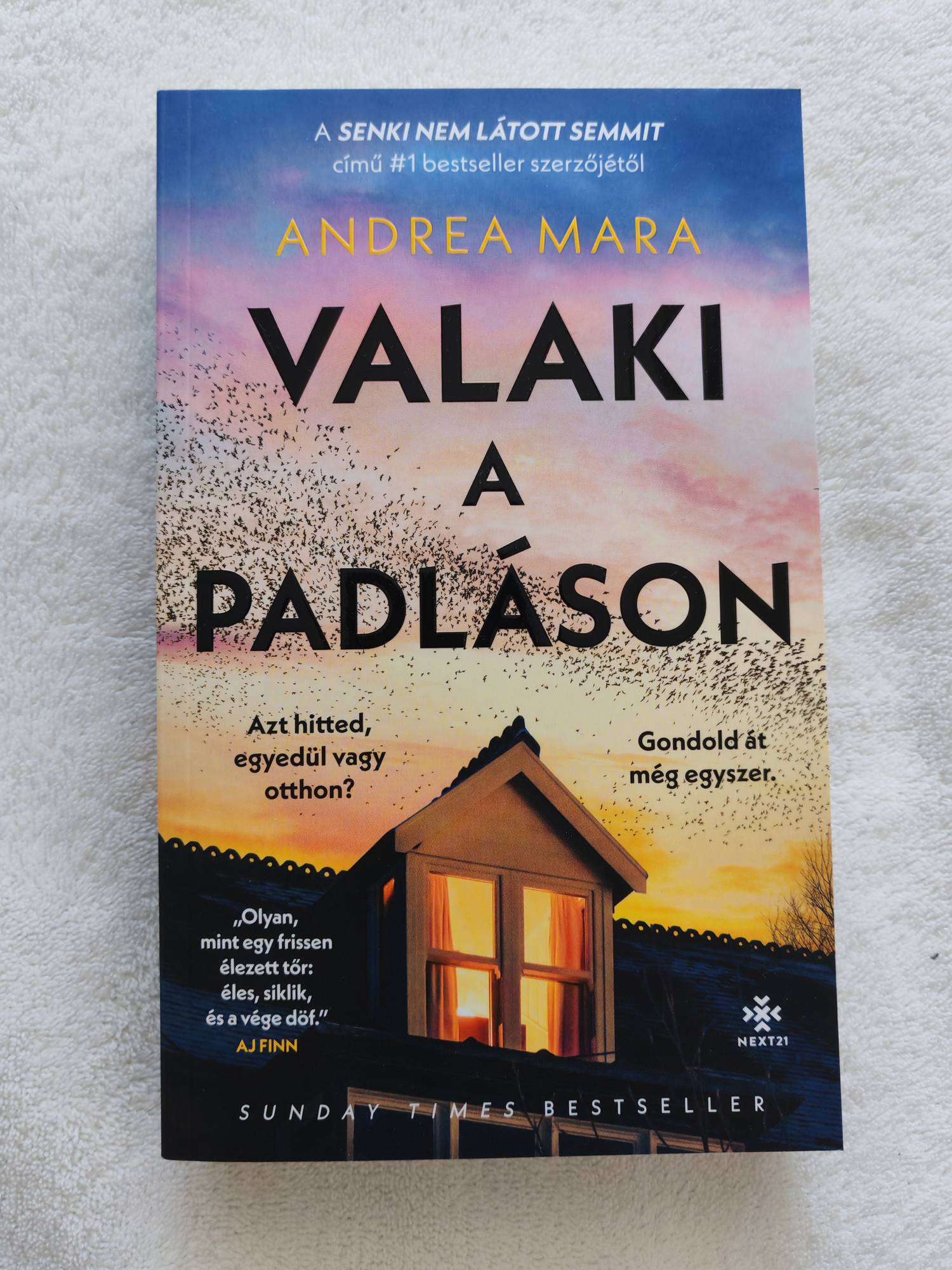 valaki a padlason