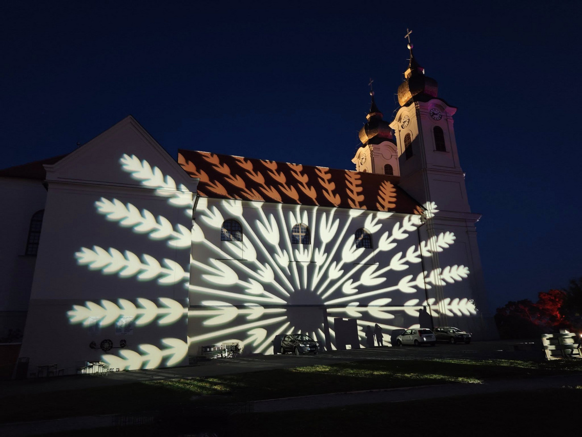 2025-fenyfestes levendula