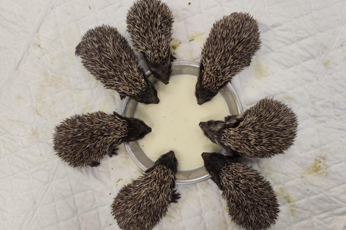 505458692 722720663848112 2274870037607307473 n