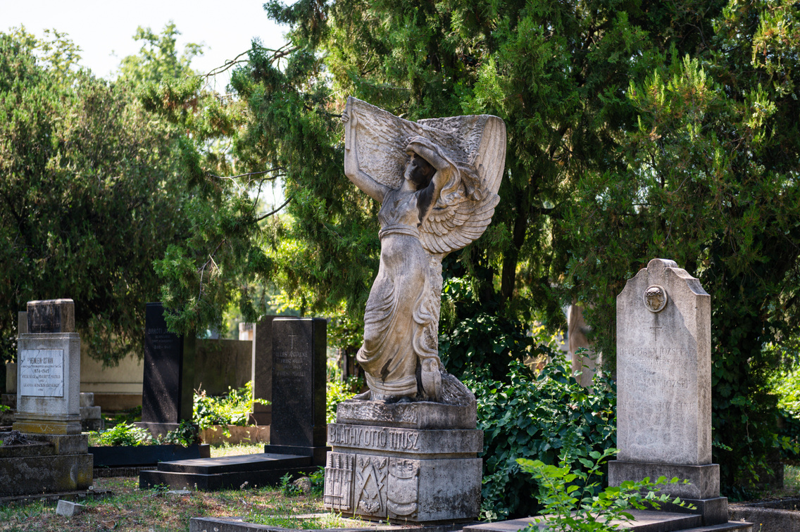Fiumei uti sirkert  141 Medgyesi Milan 20250811