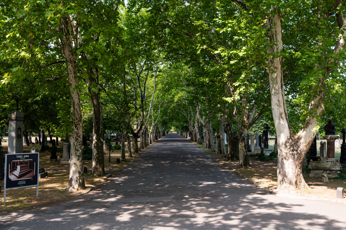 Fiumei uti sirkert  121 Medgyesi Milan 20250811