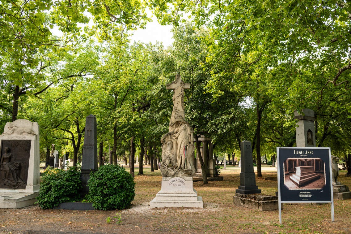 Fiumei uti sirkert  117 Medgyesi Milan 20250811