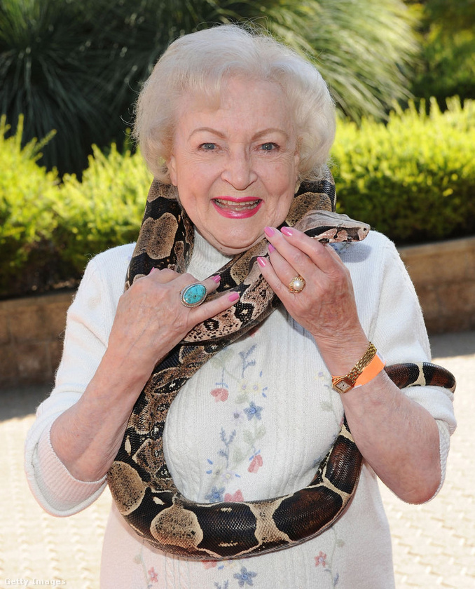 Betty White&nbsp;Az örök kedvenc színésznő állatszeretete a hüllőkre is kiterjedt