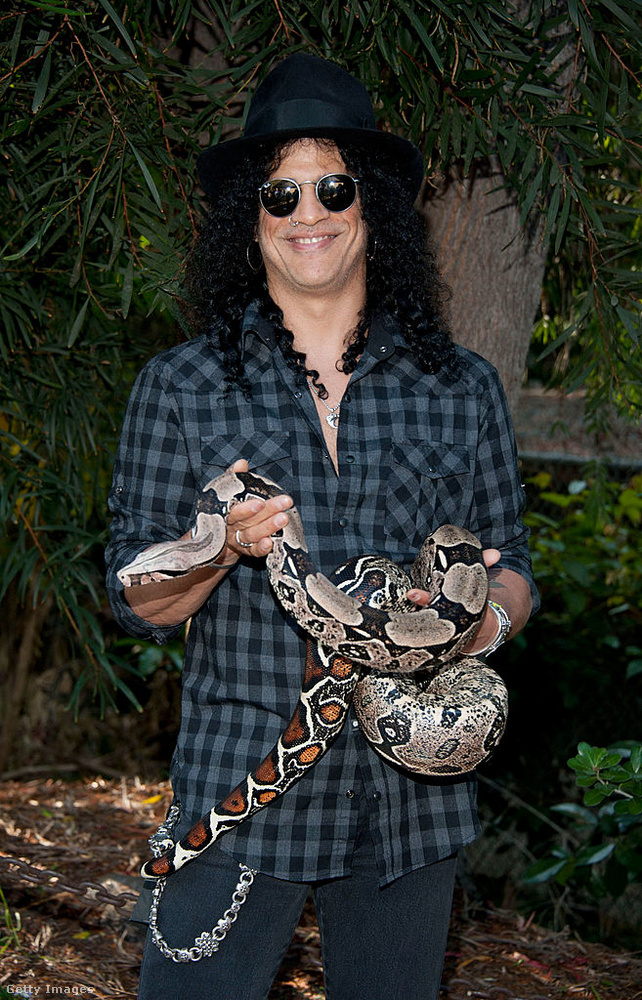 Slash&nbsp;A Guns N’ Roses gitárosa otthon is kígyók között élt